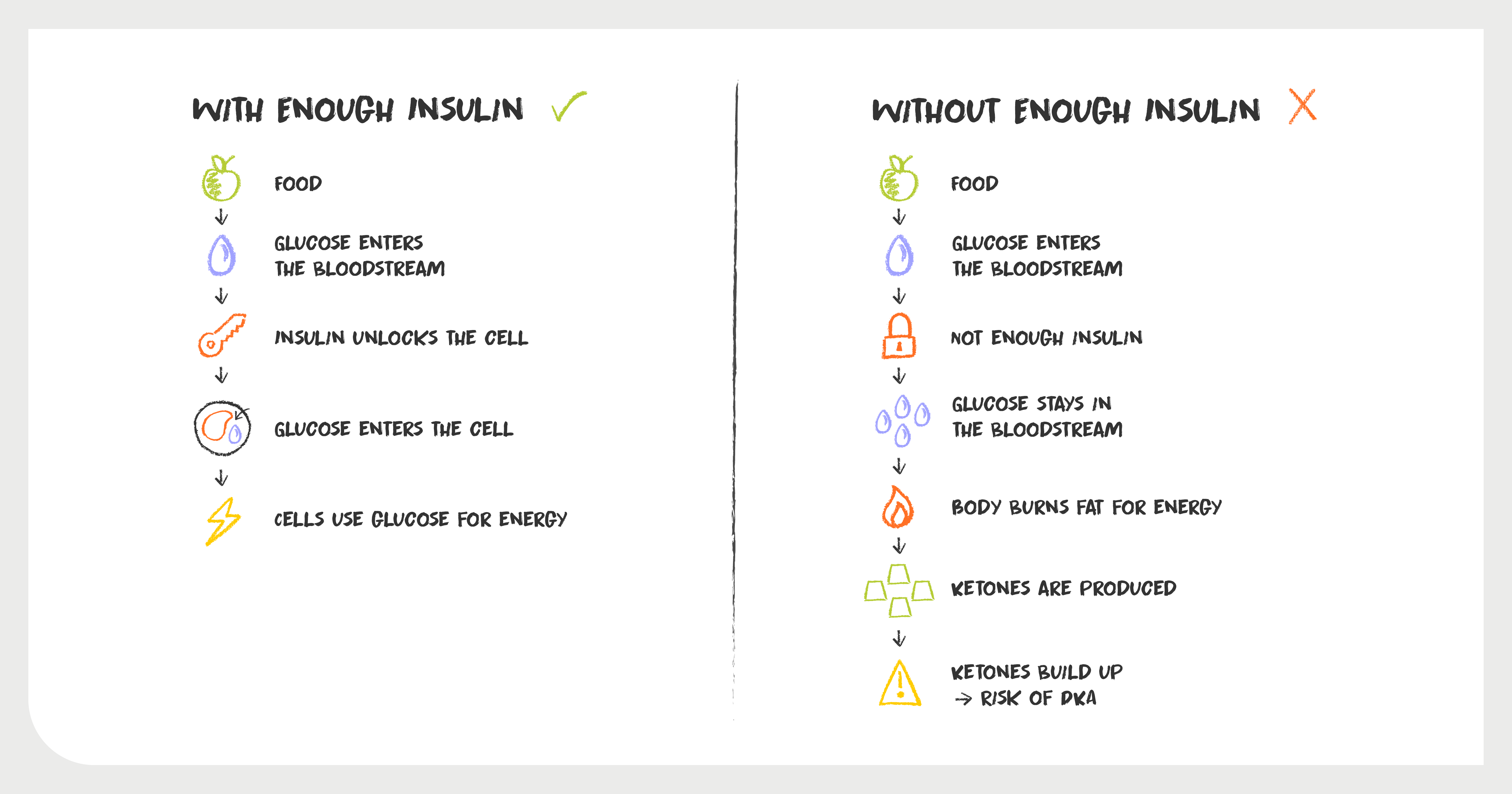 Diagram showing how insulin helps glucose enter cells for energy and how the body produces ketones when there is not enough insulin