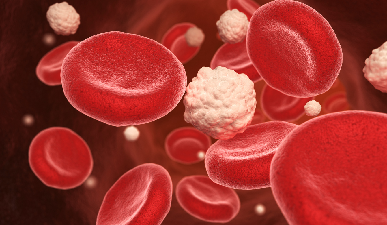 Insulin-Producing Therapy Shows Continued Promise for Type 1 Diabetes in Human Trials