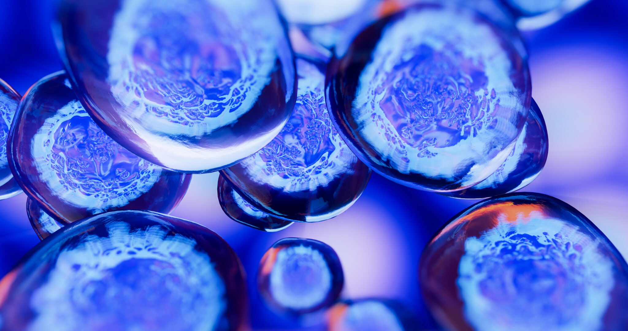 The Journey to a Potential Islet Cell Replacement Therapy for Type 1 Diabetes