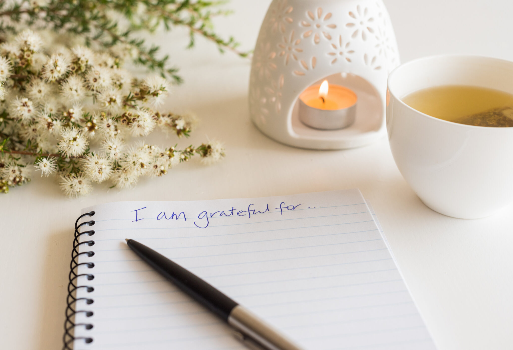 Living with T1D: What Are You Thankful For?
