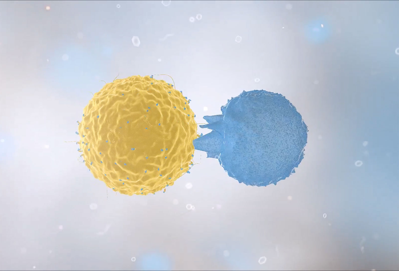 Promising Treatment for Recently Diagnosed Type 1 Diabetes Receives JDRF Funding