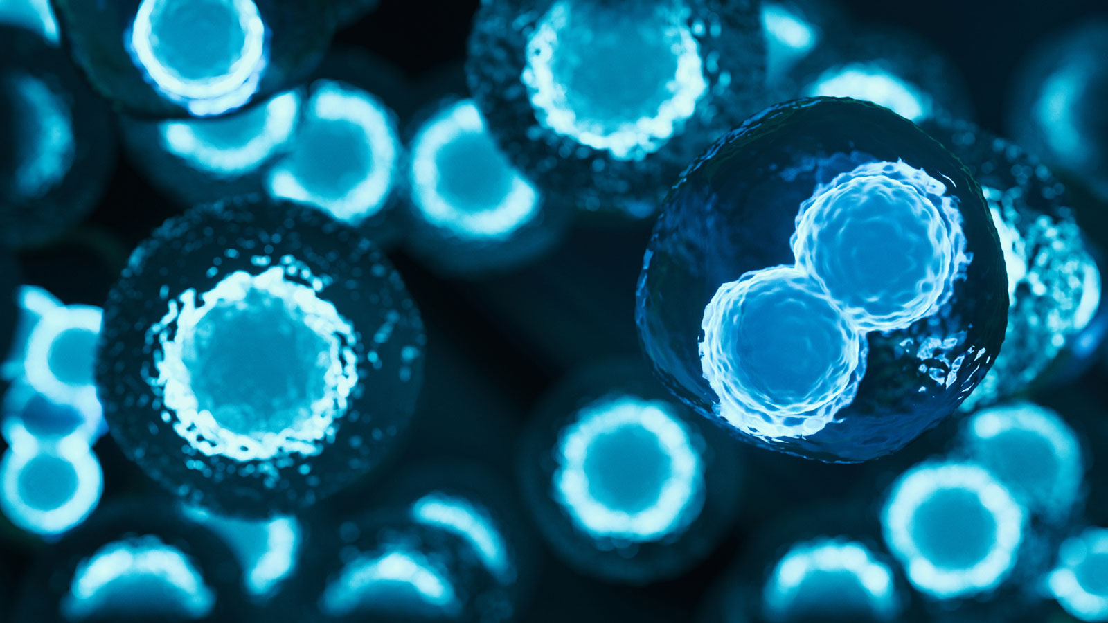 Type 1 Diabetes Stem Cell Therapy Gets Greenlight for Human Trials