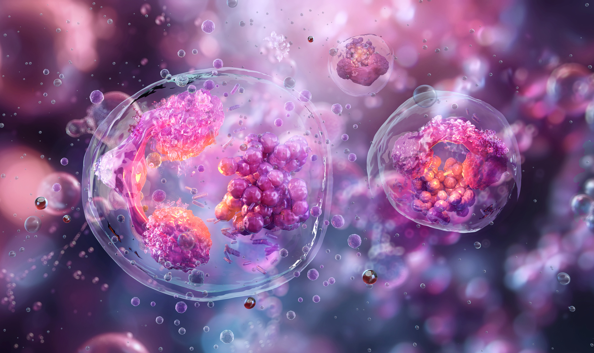 Beta Cell Preservation in the Wild