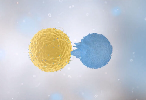 Photo of cells working together
