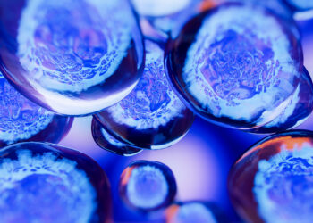 The Journey to a Potential Islet Cell Replacement Therapy for Type 1 Diabetes