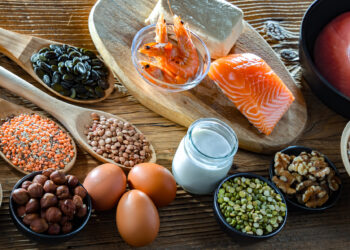Food products rich in protein