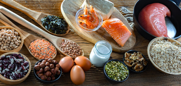 Food products rich in protein