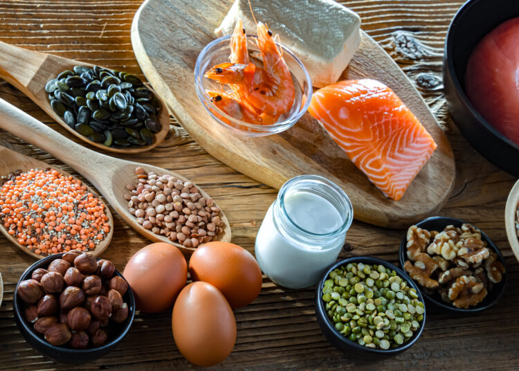 Food products rich in protein