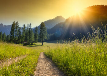 Finding Strength in the Journey: The Unexpected Upside of Living with Type 1 Diabetes