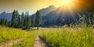 Finding Strength in the Journey: The Unexpected Upside of Living with Type 1 Diabetes