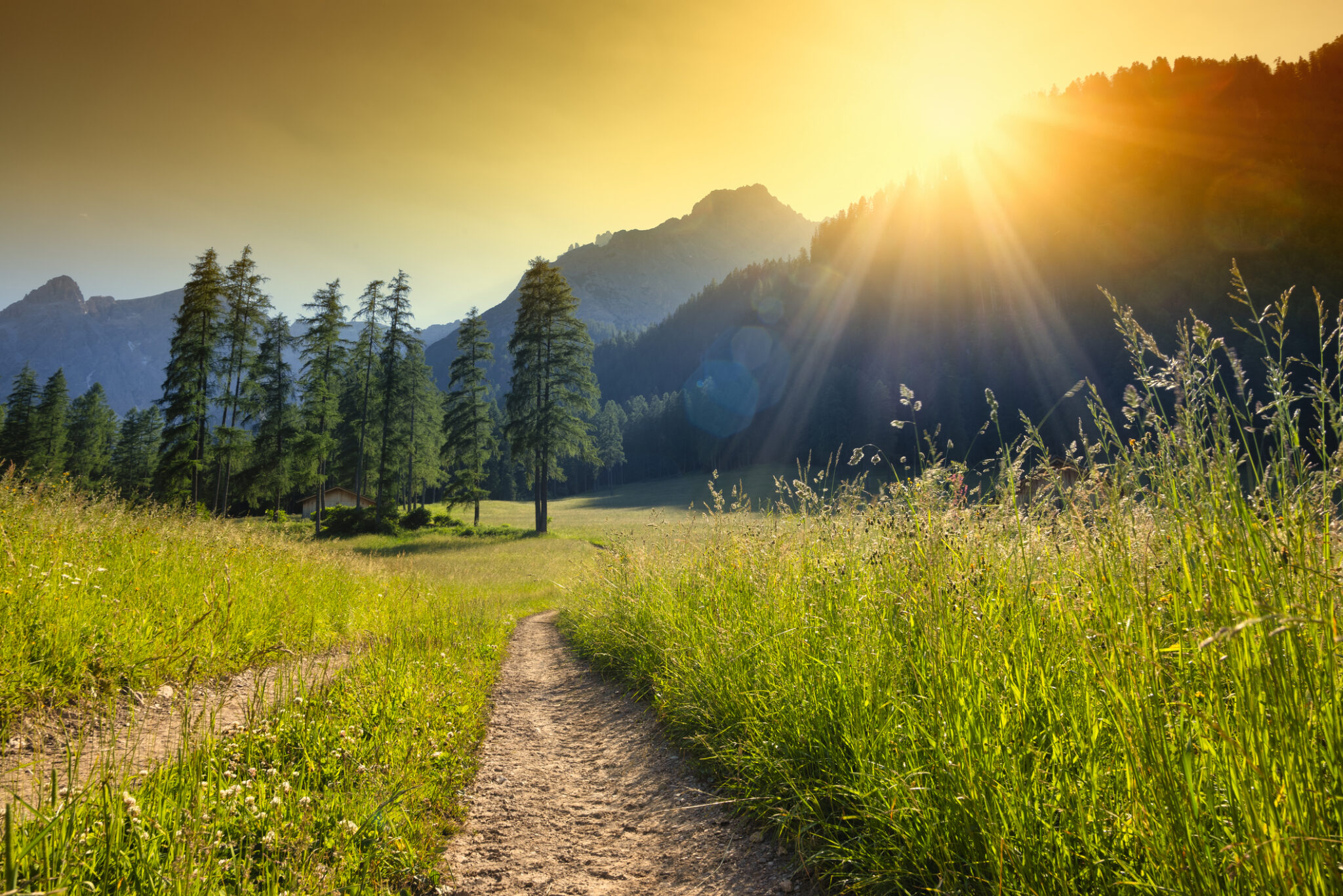 Finding Strength in the Journey: The Unexpected Upside of Living with Type 1 Diabetes